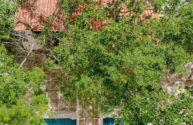 Casa del Árbol Condo - Foto 61