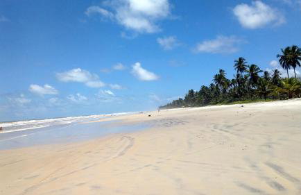 APARTAMENTO À BEIRA MAR - PÉ NA AREIA - Ilhéus - Photo 12