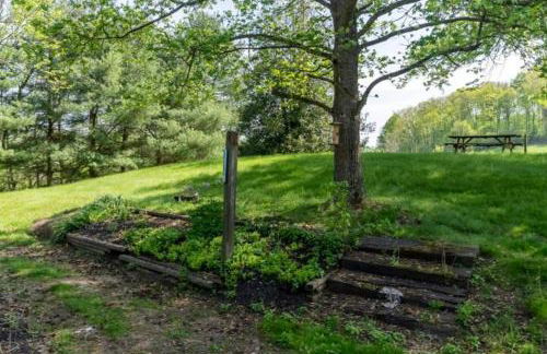 100 Acre Red Brick Ranch Hocking Hills Cabin Hot Tub 12 - Foto 28