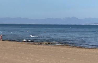 Apartamento Francisco Casanovas - Foto 55