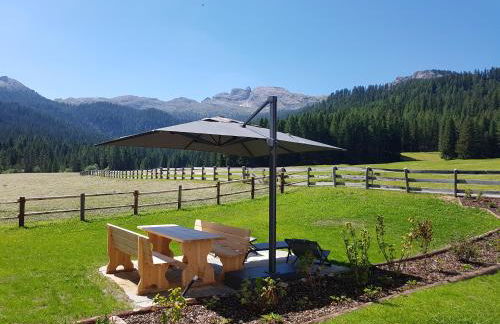 Les Pizades - Foto 2