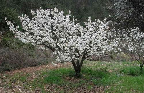 Casa rural Cal Fuster Experience - Foto 68