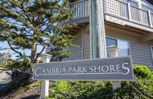 Cambria Park Shores - Foto 4