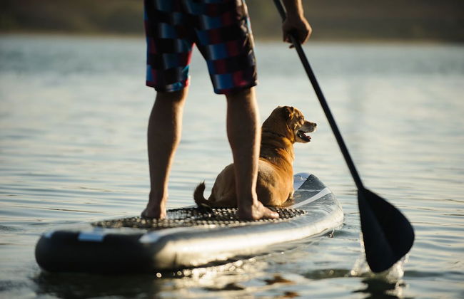 Entrada at Moab 664 - Foto 46