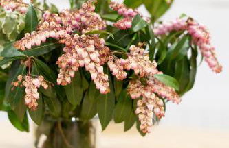 Unamuno by Bilbao Living - Foto 79