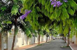 Casa De Lince calle Rio Ebro 48 - Foto 49