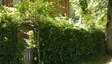 Apartment zum Garten - Foto 2