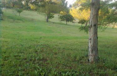 Agriturismo La Carletta - Foto 55