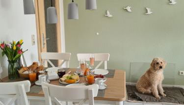 Watt will man Meer - Foto 4