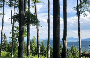 Jaśminowa Pracownia - Foto 23