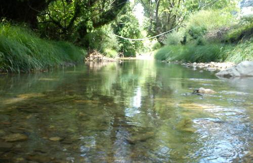 Andrea Sofi Guesthouse - Photo 63