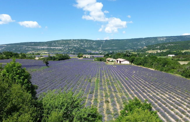 Cottage in Luberon Near Apt Market - Foto 18