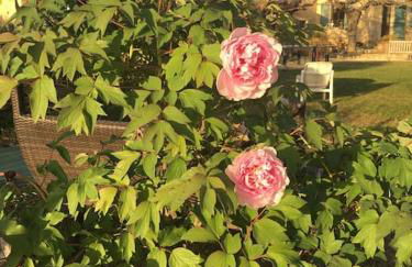 L'annexe de L' Bergerie - L’ Ardèche - Via Rhona - Foto 27