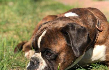 Haus Alwine - Foto 13