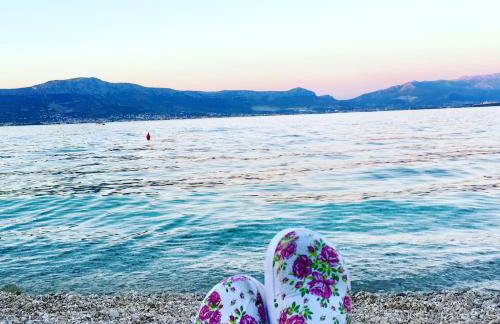 Villa Amica - Photo 16