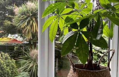 Seashell Apartment - Central location - Foto 42