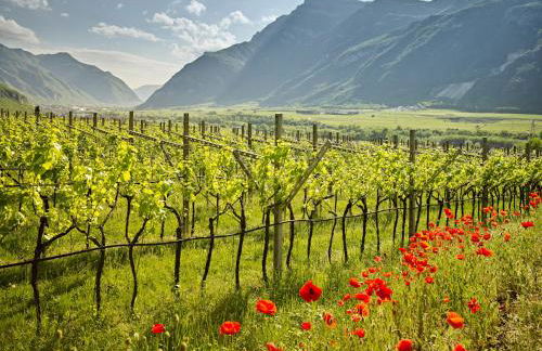 Casa alla Fontana - Foto 24