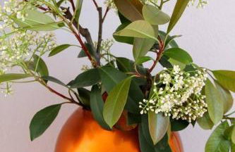 Κεντρικό κομψό ήσυχο στούντιο. - Foto 9