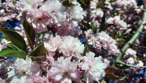 Ferienwohnung Grasmück - Foto 3