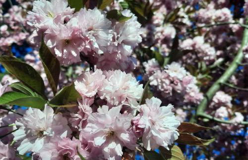 Ferienwohnung Grasmück - Foto 3