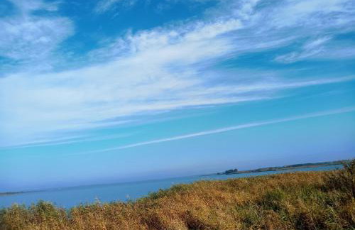 Fischstübchen Neeberg Apt 1 – Wald und Wiese - Foto 23