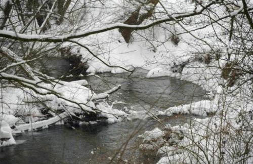 Ferienwohnung mit Sauna - Foto 71