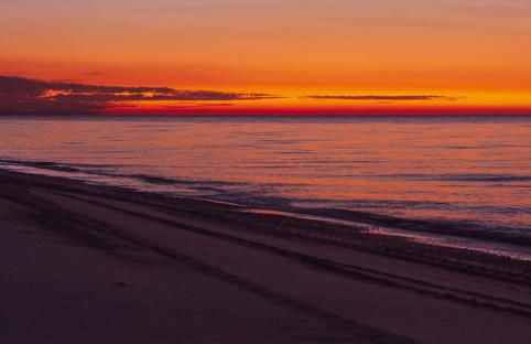biodelfico, Policoro, Matera, Montalbano, mare - Photo 40