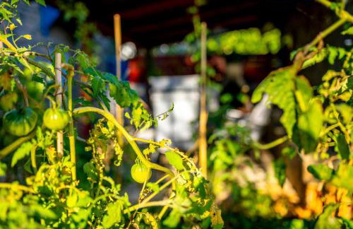 Holiday Home Casa Bianca - Foto 42