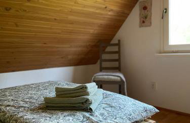 Kaszubski Zakątek Niesiołowice - Foto 27