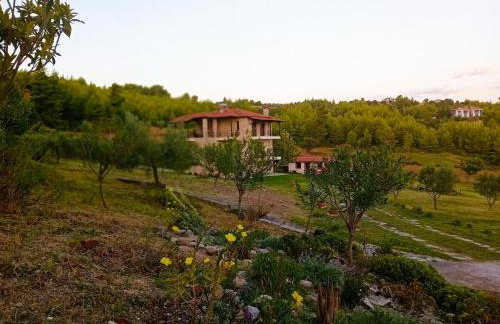 Κτήμα Verde - Foto 57