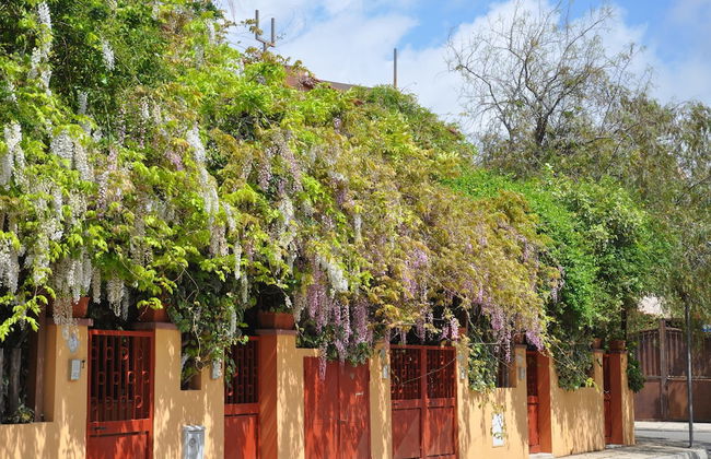 Residenza Le Due Palme - Foto 55