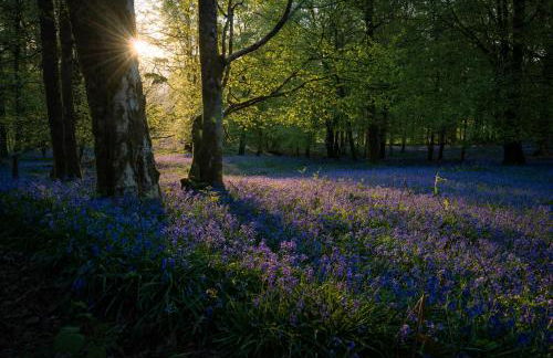 The Allanbreck Studio Glencoe Ballachulish Highlands Near Fortwilliam - Foto 67