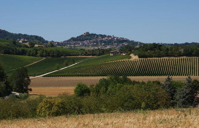 Agriturismo al Colle - Photo 46