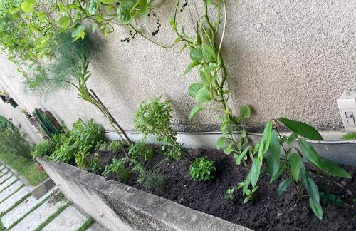 Casa em Saquarema Itaúna - Foto 31