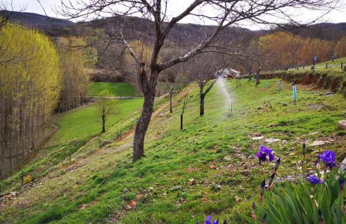 Alojamento Local Madre de Cima - Foto 46