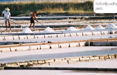 Villa DTS3 - Foto 38