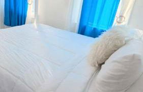 3bedroom 2 bath minutes away from Temple, Philly museum, Philly zoo , center city - Foto 26