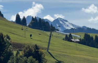 Appartement au Chinaillon 1350 - vue panoramique sur les montagne, -10' des pistes - Foto 39