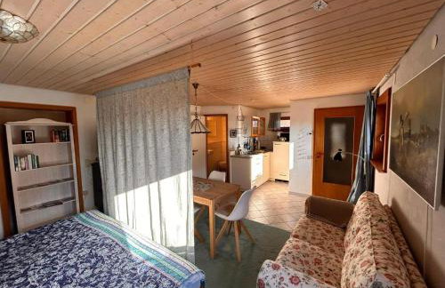 Blick In Den Garten - Foto 7