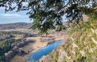 Chalet dans le parc régional du Haut-Jura - Foto 25