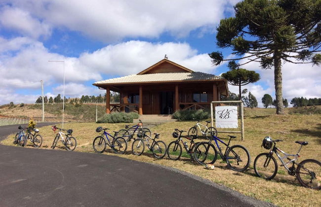 Tour de bicicleta pelos vinhedos da vinícola Villaggio Bassetti com degustação - Foto 5