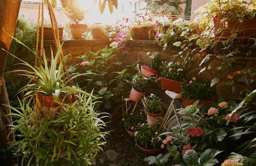 La casetta di Giusy - Alloggio turistico - Foto 9