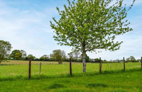 Shepherds Cottage - Uk49766 - Photo 10