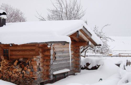 Best Butler Alp Villa 11 Personen I Blockhütte I Parken I Lagerfeuer I Netflix - Foto 9
