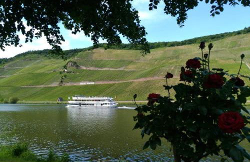 Ferienwohnungen und Gästezimmer Peter Busch - Foto 15