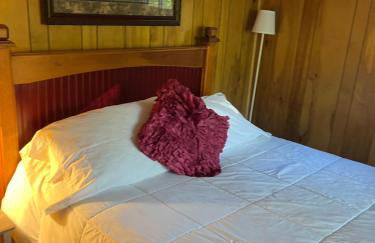 Sleeping Bear Riverside Cabins - Foto 12