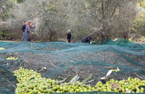 La Casella Antico Feudo di Campagna - Foto 94