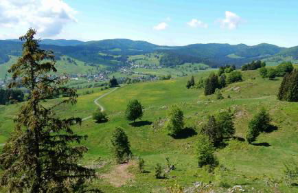 WEITBLICK "entspannen - wohlfühlen - aktiv erholen" - Foto 38