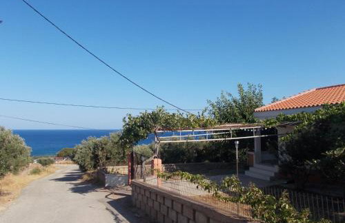 Tranquility House - Foto 36