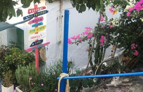 The Citrus House - Foto 31